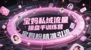 宝妈私域流量操盘手训练营，宝妈粉精准引流-庄子聊项目