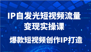 IP自发光短视频流量变现实操课，爆款短视频创作IP打造-庄子聊项目
