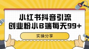 小红书抖音创业粉,小B端粉自热,日引99+的一个玩法【揭秘】-庄子聊项目