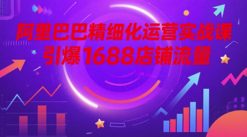 阿里巴巴精细化运营实战课，引爆1688店铺流量-庄子聊项目