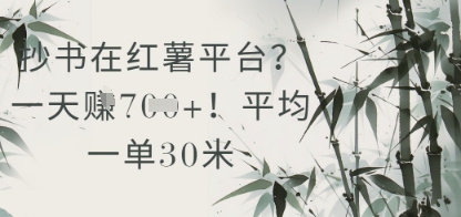 抄书在小红薯平台？平均一单30米，一天收益几张！-庄子聊项目