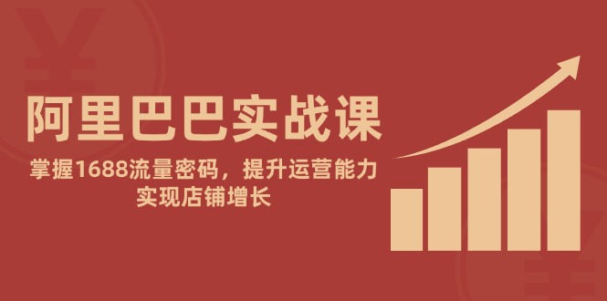 阿里巴巴实战课：掌握1688流量密码，提升运营能力，实现店铺增长-庄子聊项目