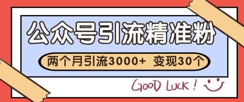 公众号精准粉引流玩法，2个月3000+精准粉，变现30个W【揭秘】-庄子聊项目