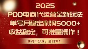 2025PDD电商代运营全新玩法,单号月稳定利润5000+,收益稳定,可批量操作-庄子聊项目