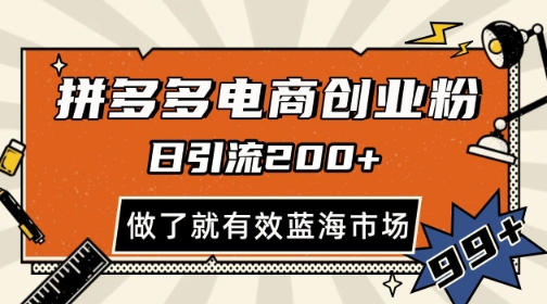 拼多多引流电商创业粉，日引200+，可矩阵放大，做了就有效【揭秘】-庄子聊项目