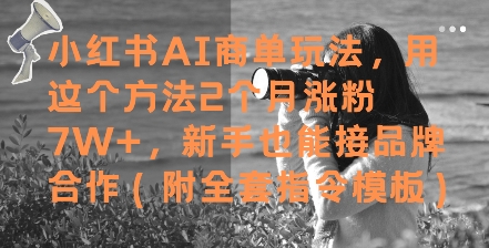 小红书AI商单玩法，用这个方法2个月涨粉7W+，新手也能接品牌合作(附全套指令模板)-庄子聊项目
