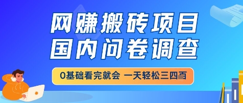 网创搬砖项目，国内问卷调查，小白轻松上手，一天三四张的也不难，干就完了【揭秘】-庄子聊项目