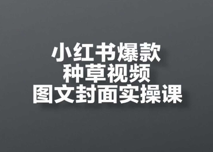小红书爆款种草视频图文封面实操课，​开店、选品、引流、变现全流程-庄子聊项目