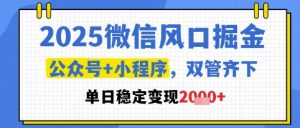 2025微信风口掘金，公众号+小程序双管齐下，单日稳定变现1k+【揭秘】-庄子聊项目