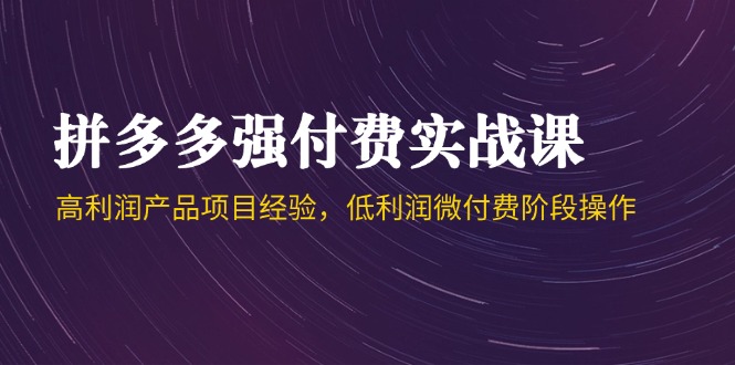 拼多多强付费实战课-44期，高利润产品项目经验，低利润微付费阶段操作-庄子聊项目