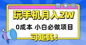 玩玩手机月入20000+，0成本小白必做项目，可矩阵-庄子聊项目
