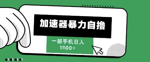 205新风口，加速器暴力自撸，单机日入1k+【揭秘】-庄子聊项目