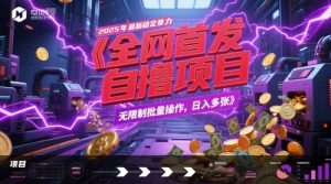 全网首发，2025年最新稳定暴力全自动自撸项目，无限制批量操作，日入多张【揭秘】-庄子聊项目