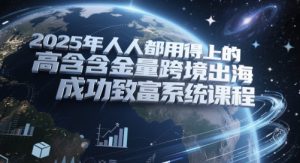 2025年人人都用得上的高含金量跨境出海成功致富系统课程-庄子聊项目