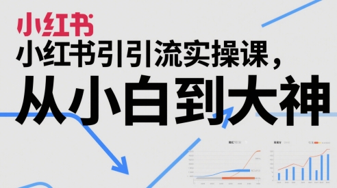 小红书引流实操课，从小白到大神-庄子聊项目
