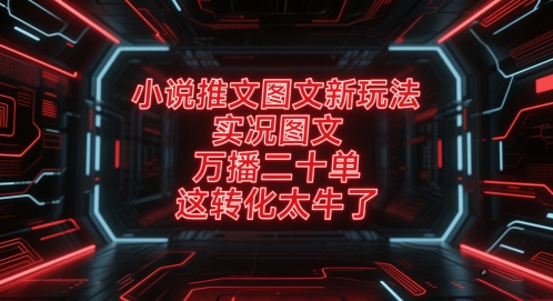 小说推文图文新玩法，实况图文，万播二十单，这转化太牛了！-庄子聊项目