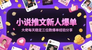 小说推文新人爆单大佬每天稳定三位数爆单经验分享-庄子聊项目