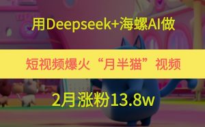 用Deepseek+海螺AI做短视频爆火“月半猫”视频，2月涨粉13.8w-庄子聊项目