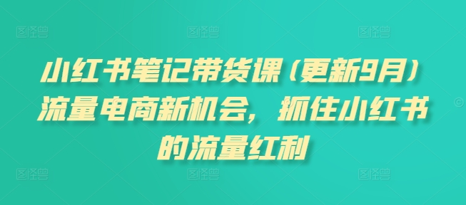小红书笔记带货课(更新25年5月)流量电商新机会，抓住小红书的流量红利-庄子聊项目