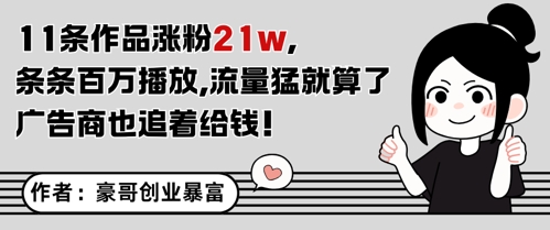 11条作品涨粉21W，条条百W播放，流量猛就算了，广告商也追着给钱-庄子聊项目