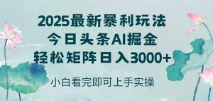 今日头条2025年最新暴利玩法，思路简单，复制粘贴，轻松实现矩阵日入3000+-庄子聊项目