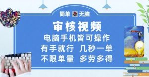 审核视频,电脑手机皆可操作,有手就行,几秒一单,不限单量,多劳多得【揭秘】-庄子聊项目