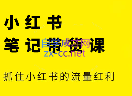 张宾·小红书笔记带货课(更新5月)-庄子聊项目