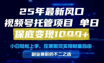 25年最新风口，视频号托管项目，单日保底变现1k+，手把手教学【揭秘】-庄子聊项目