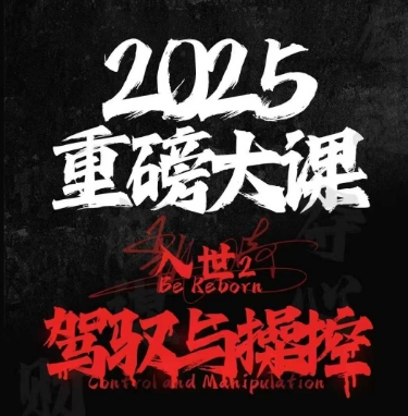 2025重磅大课，入世2，驾驭与控制-庄子聊项目