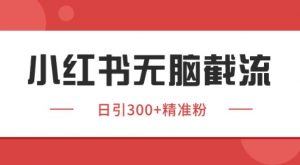 小红书截流同行客源，独家野路子获客玩法 日引200+暴力获客【揭秘】-庄子聊项目