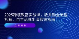 2025跨境致富实战课，收并购全流程拆解，自主品牌出海营销指南-庄子聊项目