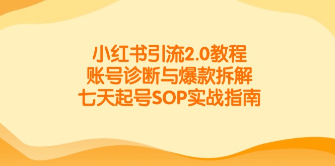 小红书引流2.0教程，账号诊断与爆款拆解，七天起号SOP实战指南-庄子聊项目
