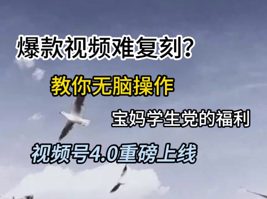 视频号4.0重磅上线，爆款视频难复刻？教你无脑操作宝妈学生党的福利【揭秘】-庄子聊项目