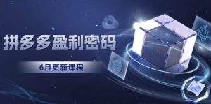 拼多多盈利密码:从烧钱推广到印钞模型,底层逻辑重构指南(6月更新-庄子聊项目