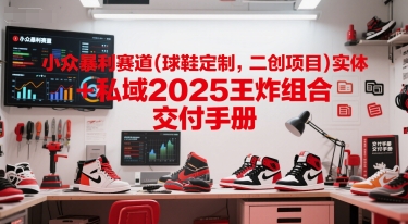 小众暴利赛道(球鞋定制，二创项目)实体+私域2025王炸组合  交付手册-庄子聊项目