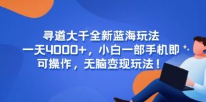 寻道大千全新蓝海玩法,一天4000+,小白一部手机即可操作,无脑变现玩法!-庄子聊项目