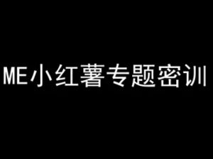 ME小红薯专题密训-小红书电商教程-庄子聊项目