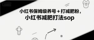 小红书保姆级养号+打减肥粉,小红书减肥打法sop-庄子聊项目