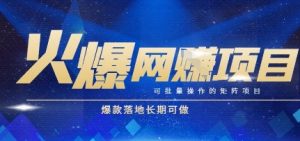 火爆全自动搬砖项目，可批量矩阵操作，爆款落地长期可做【揭秘】-庄子聊项目