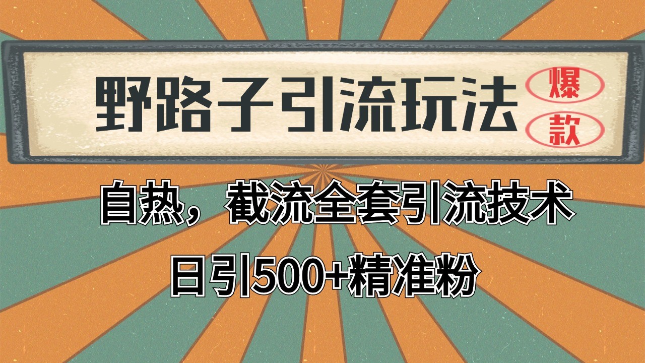2024首发野路子引流玩法截流自热全平台打法，全自动引流【日引2000+精准客户】-庄子聊项目