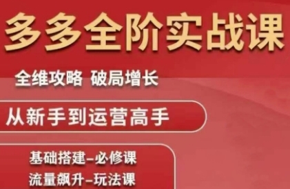 拼多多全阶实战课程，全维攻略，破局增长，从新手到运营高手-庄子聊项目