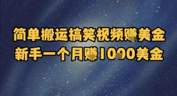 简单搬运搞笑视频挣美金，新手一个月入1k美金-庄子聊项目