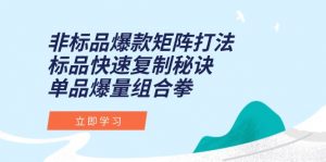 非标品爆款矩阵打法,标品快速复制秘诀,单品爆量组合拳-庄子聊项目