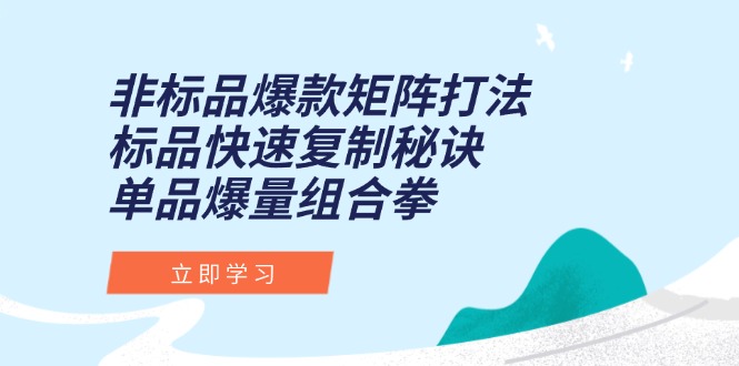 非标品爆款矩阵打法，标品快速复制秘诀，单品爆量组合拳-庄子聊项目