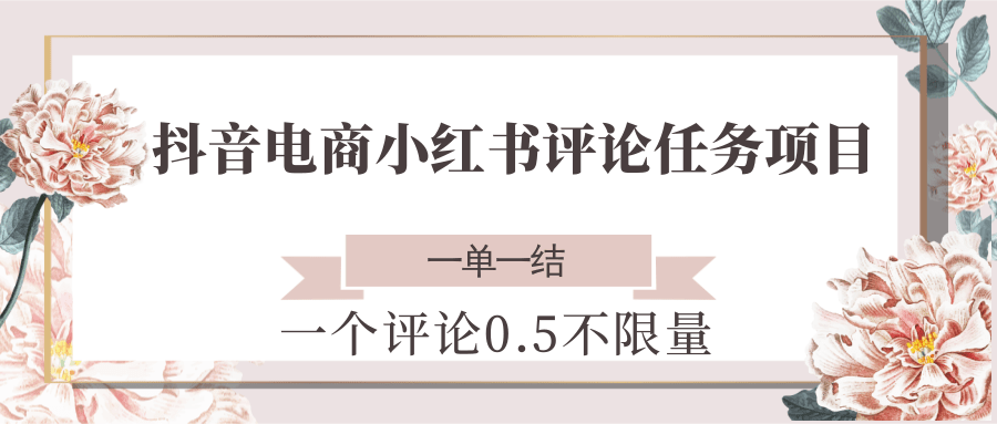 抖音电商小红书评论任务项目，一个评论0.5，一单一结 不限量-庄子聊项目