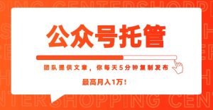 【公众号托管 】我提供文章，你每天５分钟复制发布，最高月入1W-庄子聊项目