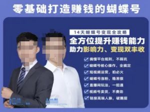 蝴蝶号专栏-视频号运营教程，零基础打造挣钱的蝴蝶号，14天蝴蝶号变现全攻略-庄子聊项目