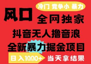 25年6月高爆抖音无人直播最新撸音浪掘金项目,解放双手小白可做,无脑日入1k+,门槛低【揭秘】-庄子聊项目