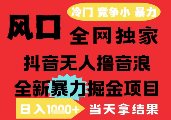 25年6月高爆抖音无人直播最新撸音浪掘金项目，解放双手小白可做，无脑日入1k+，门槛低【揭秘】-庄子聊项目