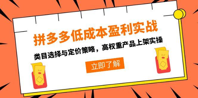 拼多多低成本盈利实战，类目选择与定价策略，高权重产品上架实操-庄子聊项目